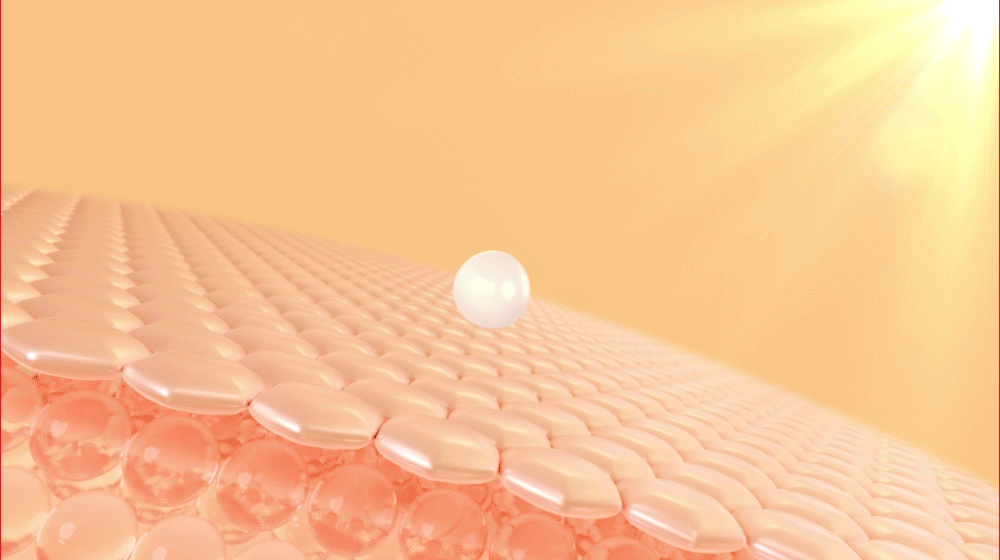 cellfusionc niacinamide anti-blemish sunscreen