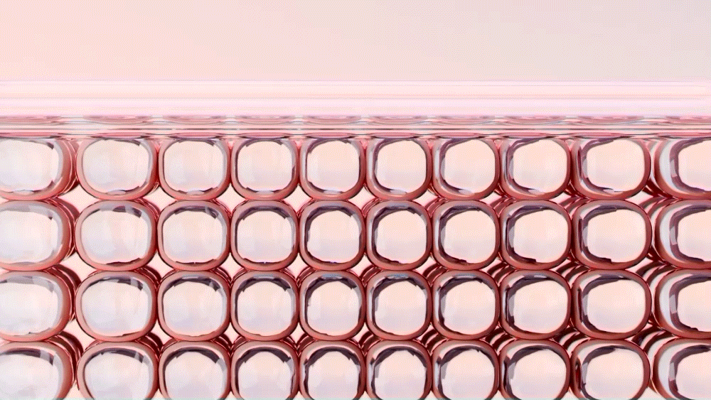 cellfusionc toning complex sunscreen